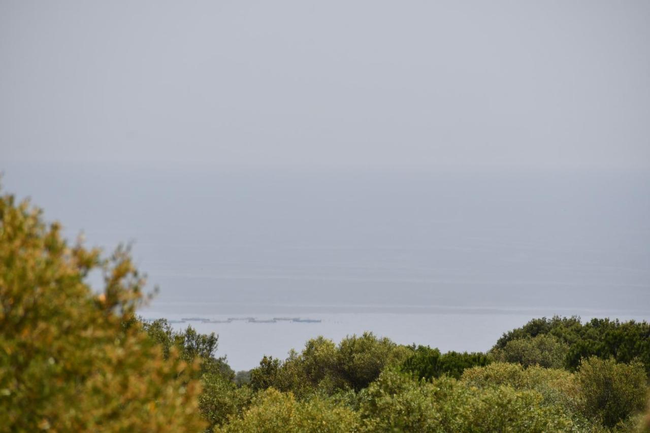 Tenute Efis Galtellì Εξωτερικό φωτογραφία